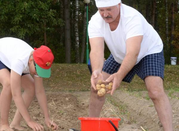 雪兰莪vs丁加奴
_卢卡申科:我要带土豆去中国雪兰莪vs丁加奴
,送给各国领导人