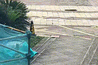 纳什维尔vs亚特兰大联_女子与妹妹因清理狗屎发生争执纳什维尔vs亚特兰大联,将2只狗从21楼扔下摔死,狗买回不到一个月,最小1斤重