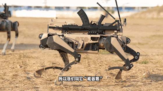 水户蜀葵vs山口雷法_九三阅兵“机器狼群”水户蜀葵vs山口雷法,首次亮相一个字:帅!与“机器狗”有这些区别→