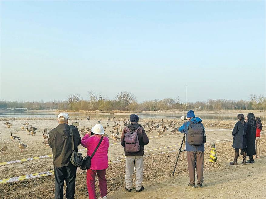 皇冠体育App下载
_“大姐皇冠体育App下载
,再喂它们就走不了了!”