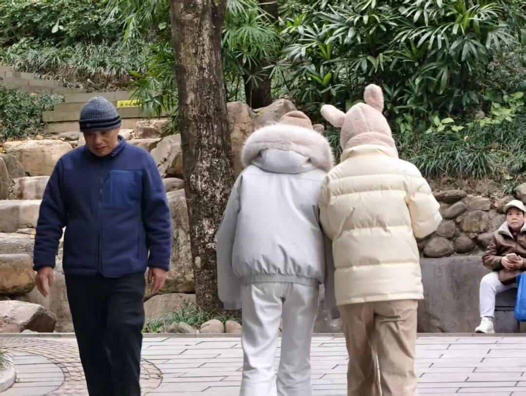 皇冠代理_直冲20℃+！南宁“火箭式”升温皇冠代理，“回南天”在路上了